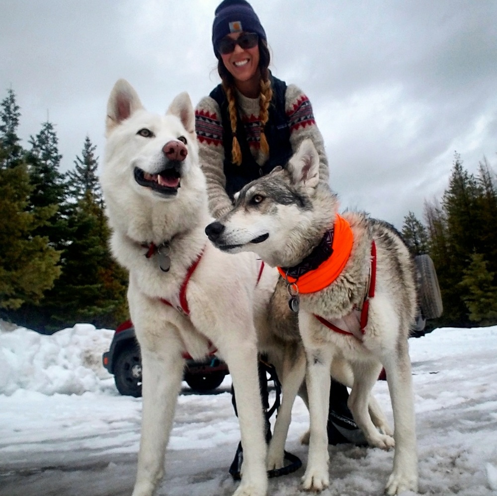 Moving to Alaska!